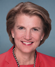 Portrait of Capito, Shelley M